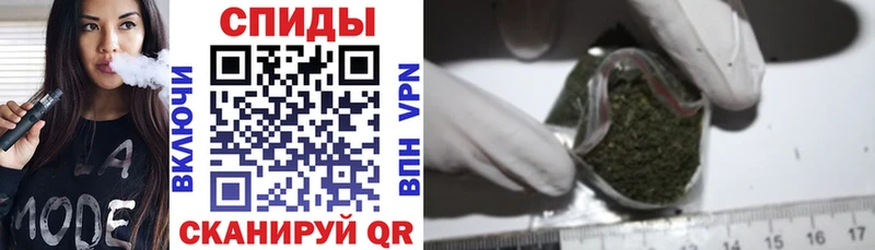 Купить где  Аргун  Бутират BDO 