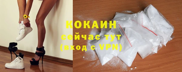 дмт Надым