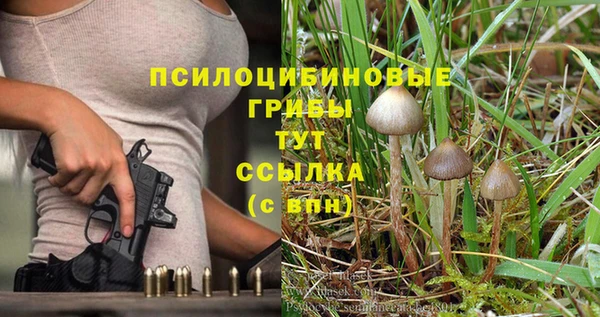 дмт Надым