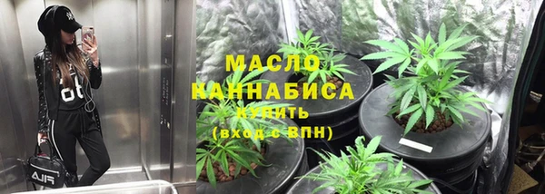 дмт Надым