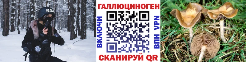 Купить где  Аргун  Псилоцибиновые грибы прущие грибы 